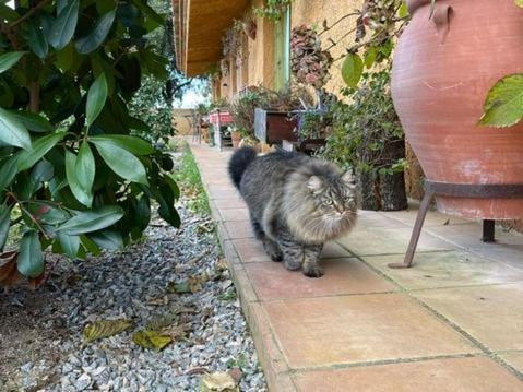 Aurora 2-Bed Cottage - Sleeps 4 - Montseny Park 阿布册斯 外观 照片